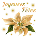 Joyeuses F&ecirc;tes avec Euphorbe dor&eacute;e